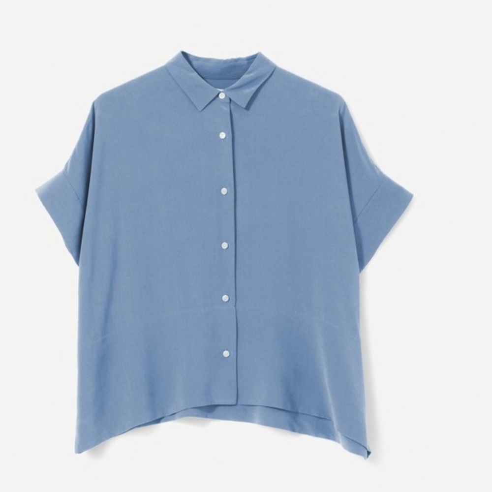 Everlane 100% silk blouse